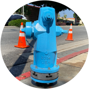 HG1 check valve - blue fire hydrant
